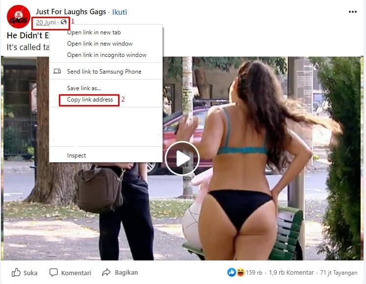 Download Facebook Private, Copy URL Video