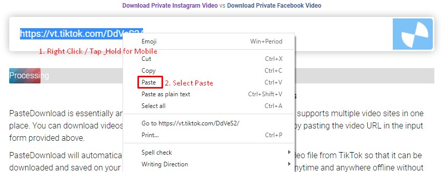 How to Download Instagram Video Online Free